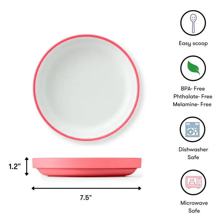 NEW OmiePlate 1 Plate + 1 Divider Multi Color Kit