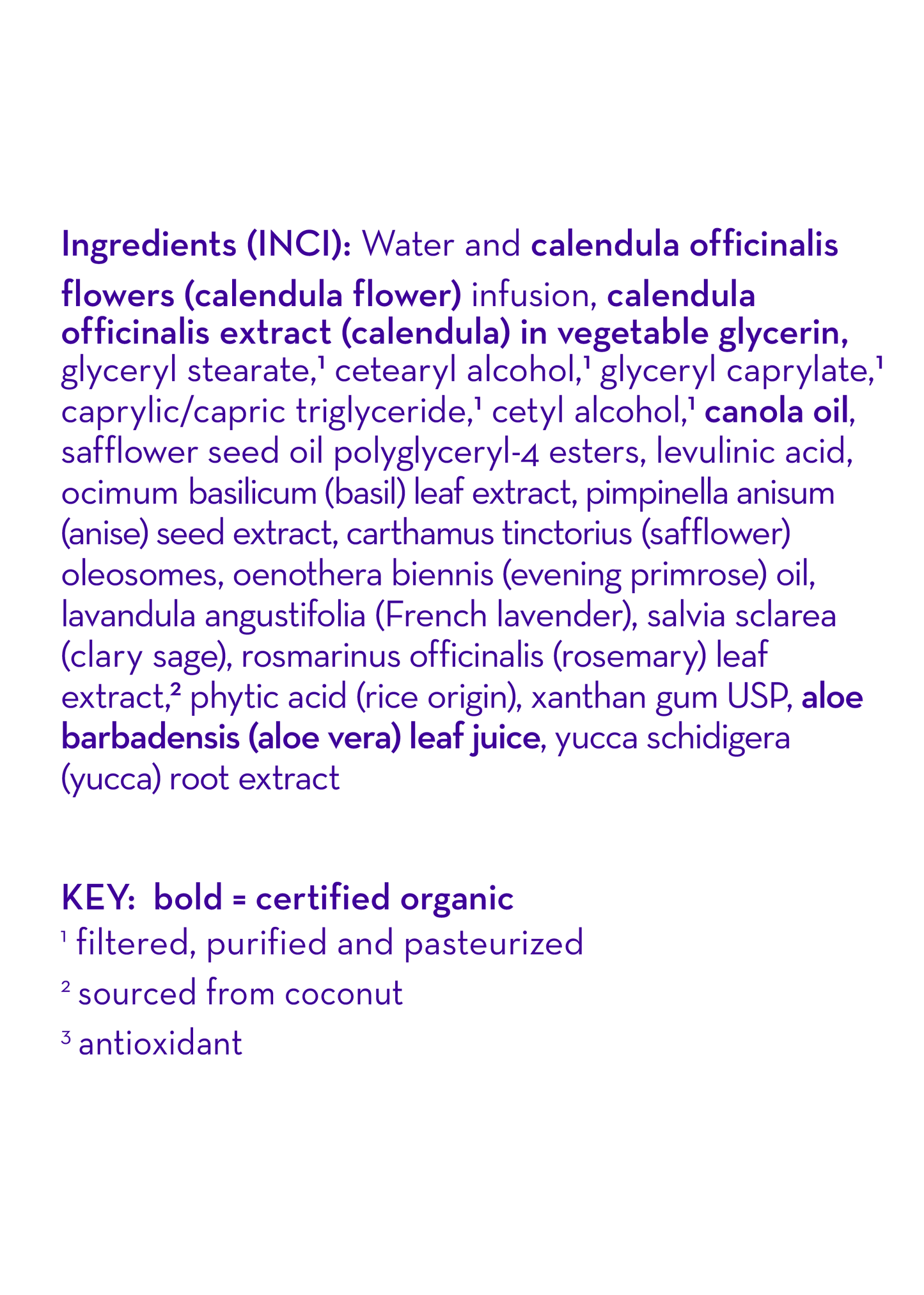 Calendula™ Everyday Lotion: 8.5oz/251mL