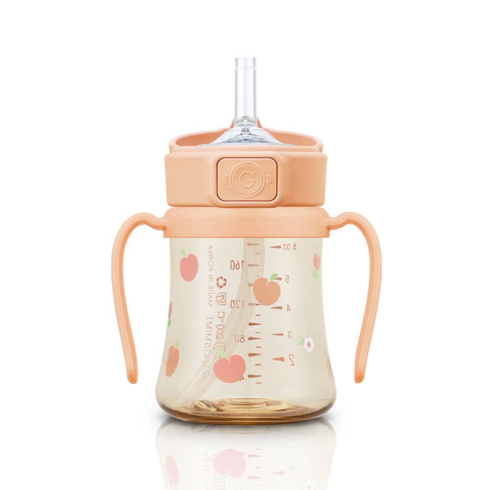 Grosmimi PPSU Straw Cup with Flip Top - 6oz (200ml): Air Balloon